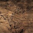 Carta da parati Wood & Map