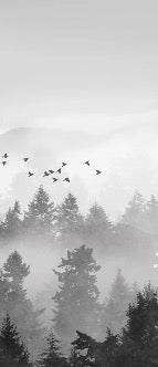 Carta da parati con nebbia di montagna mistica