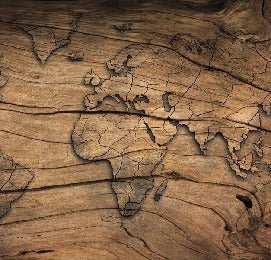 Carta da parati Wood & Map