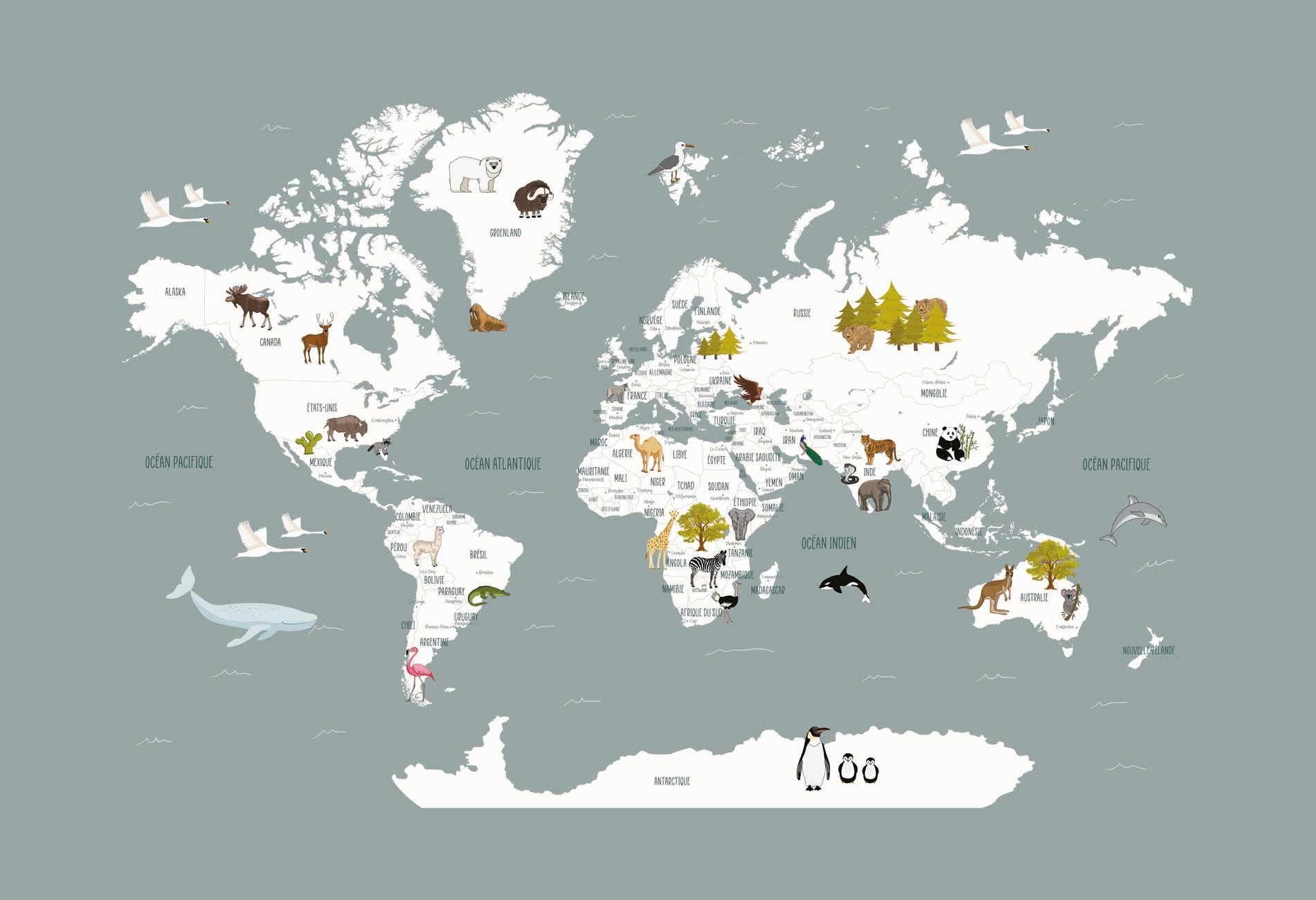 Papier peint Carte du monde en Francais enfant gris, XXL, tendance