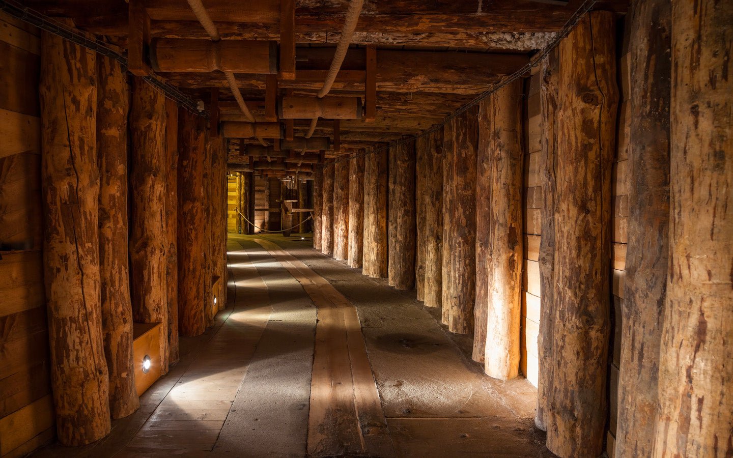 Papier peint Wood Passage, mural concept, tendance