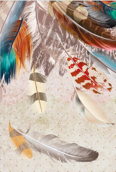 Papier peint Plumes indiennes L102cm x H154cm, XXL, tendance