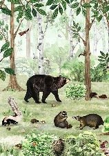 Carta da parati per bambini con morbidezza forestale