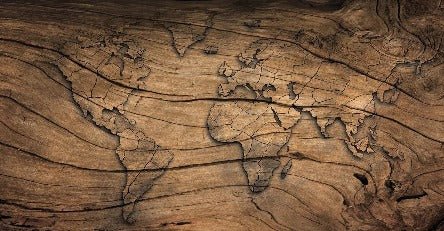 Carta da parati Wood & Map
