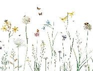 Carta da parati erbe incantate