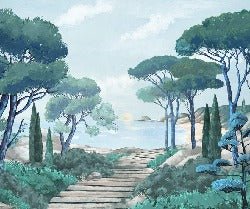 Carta da parati passeggiata nei torrenti