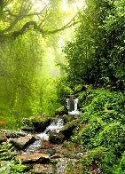 Carta da parati Cascade & Forest