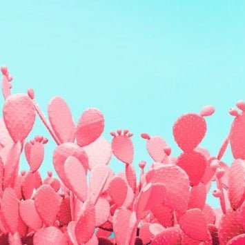 Carta da parati pop cactus