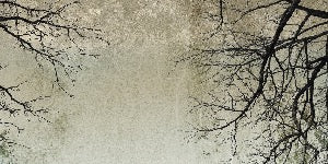 Carta da parati Foresta incantata