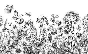 Carta da parati con fiori di campagna