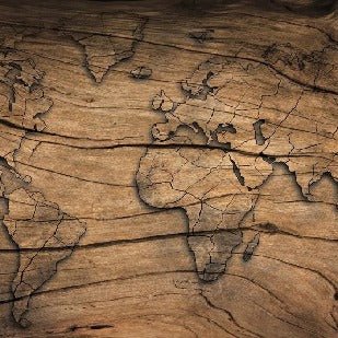 Carta da parati Wood & Map