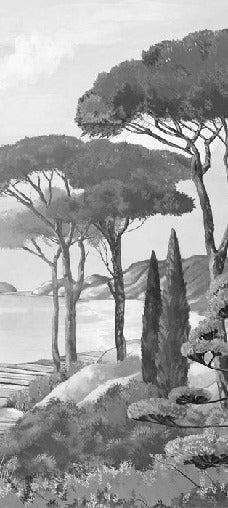 Carta da parati Walk in the creeks, bianco e nero