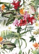 Carta da parati tropicale e fiori colorati