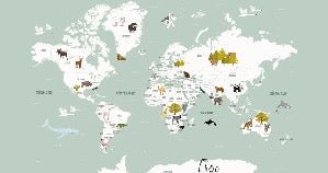 Carta da parati con mappamondo francese per bambini, verde