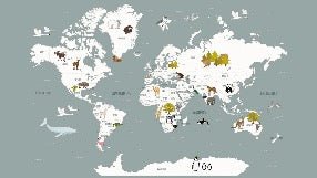 Carta da parati grigia con mappamondo francese per bambini