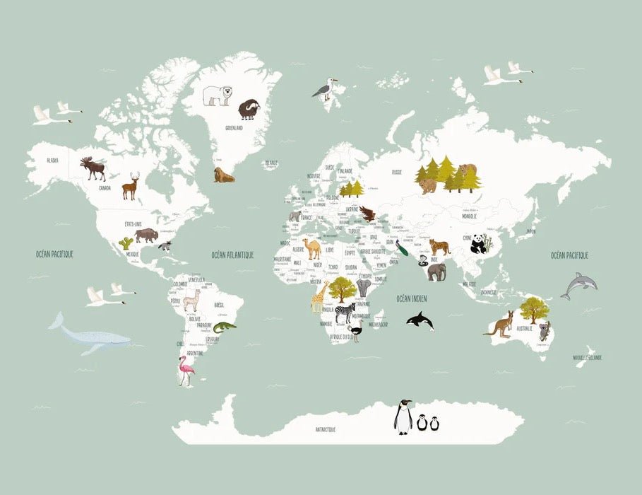 Carta da parati con mappamondo francese per bambini, verde