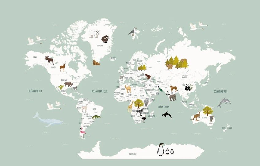 Carta da parati con mappamondo francese per bambini, verde