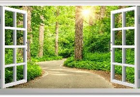 Carta da parati trompe l'oeil per una passeggiata nel bosco