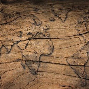 Carta da parati Wood & Map