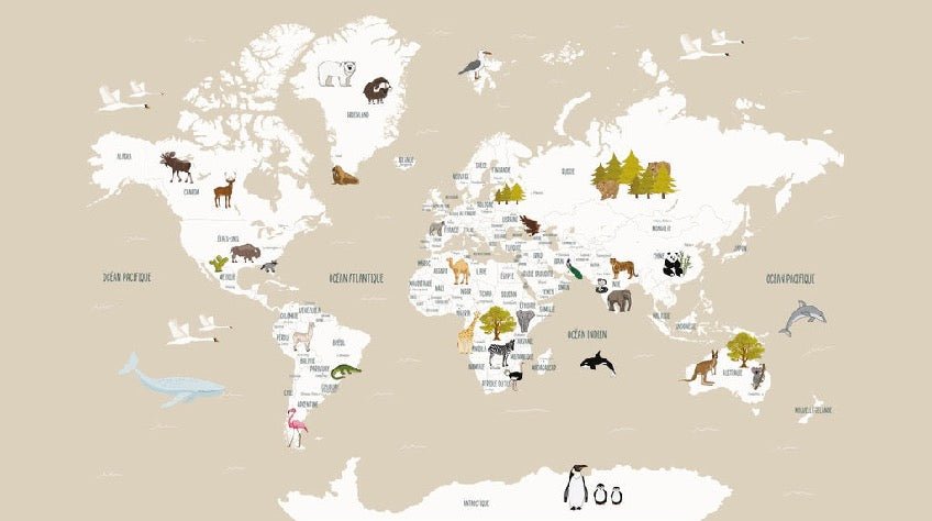 Carta da parati con mappamondo francese per bambini, beige