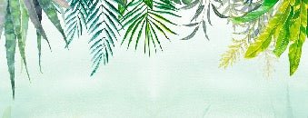 Carta da parati della giungla