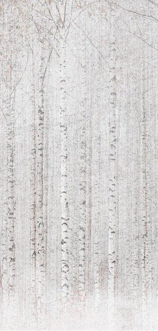 Avvolgente carta da parati della foresta di betulle