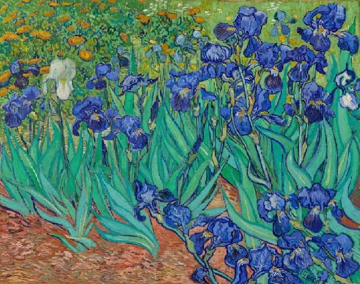 Carta da parati con motivi floreali Iris