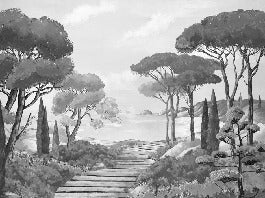 Carta da parati Walk in the creeks, bianco e nero