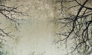 Carta da parati Foresta incantata