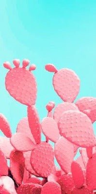 Papier peint cactus pop, XXL, tendance