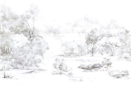 Carta da parati acquerello pineta