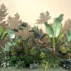 Carta da parati della giungla indonesiana