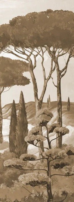 Carta da parati Passeggiata nei torrenti monocromatica