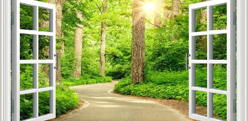 Carta da parati trompe l'oeil per una passeggiata nel bosco