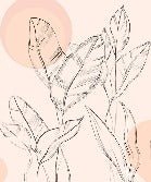 Carta da parati con graziosi motivi floreali