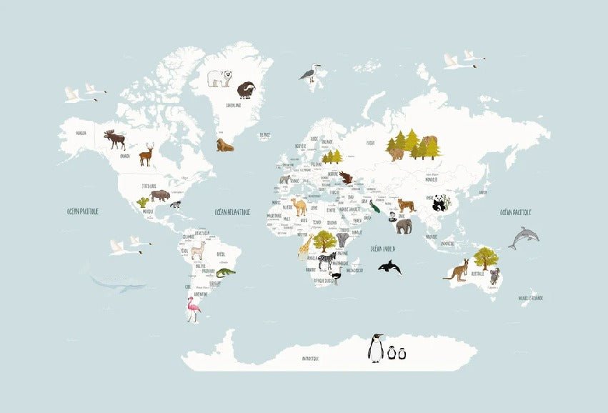 Mappa del mondo per bambini in carta da parati francese blu ghiaccio