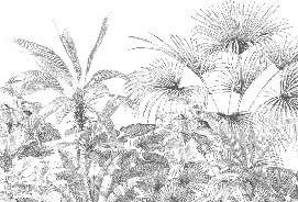 Carta da parati tropicale con incisione monocromatica