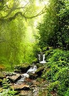 Carta da parati Cascade & Forest