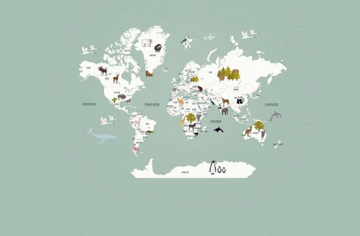Carta da parati con mappamondo francese per bambini, verde