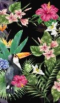Carta da parati tropicale e tucano