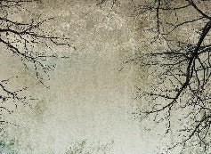 Carta da parati Foresta incantata