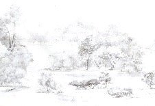 Carta da parati foresta di pini acquerello