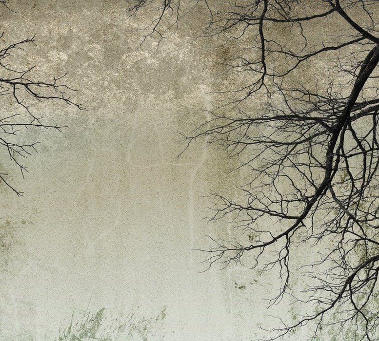 Carta da parati Foresta incantata