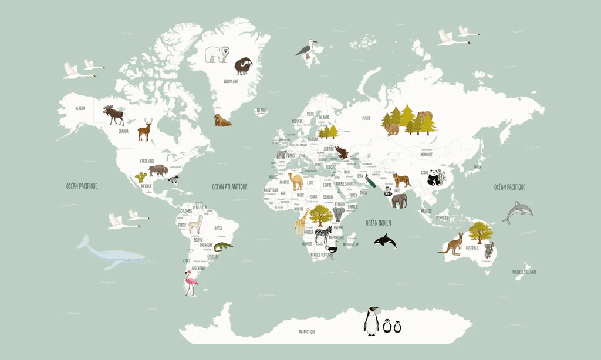 Carta da parati Mappa del mondo in francese per bambini verde