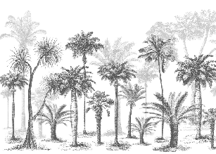 Carta da parati Jungle Black & White