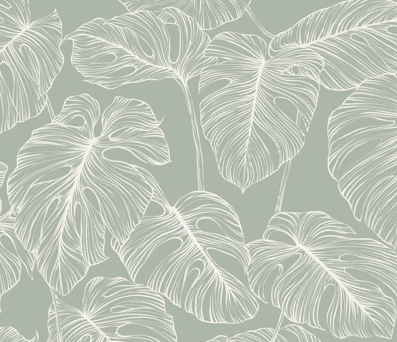 Carta da parati foglia monstera salvia