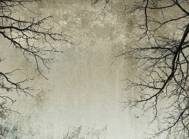 Carta da parati Foresta incantata