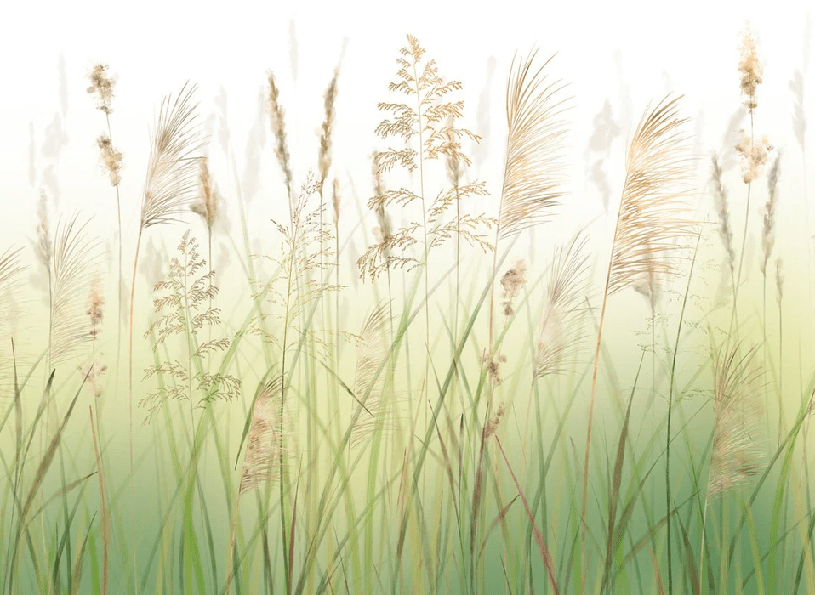 Carta da parati con motivo floreale su sfondo sfumato di campi di grano
