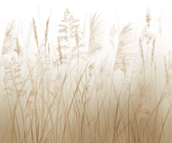 Carta da parati con fiori di campo e grano