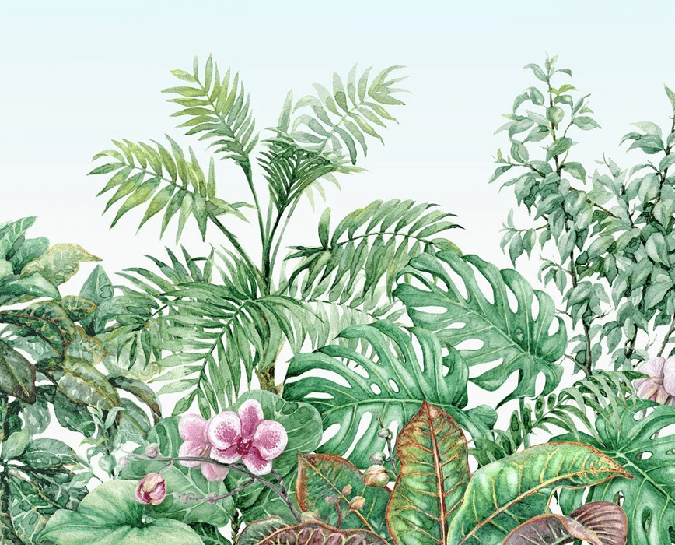 Carta da parati Vegetale